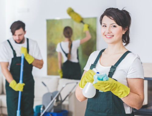 The 5 Best Cleaning Aprons